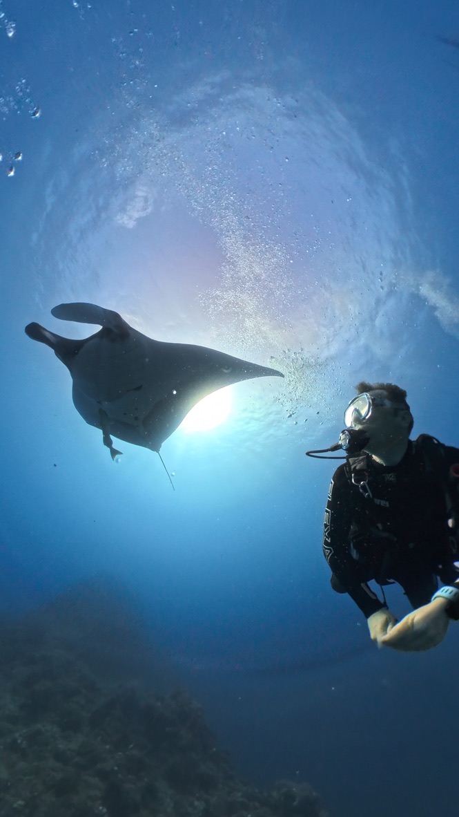 A diver swimming alongside a manta ray beneath the surface